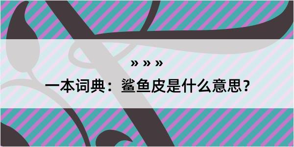 一本词典：鲨鱼皮是什么意思？