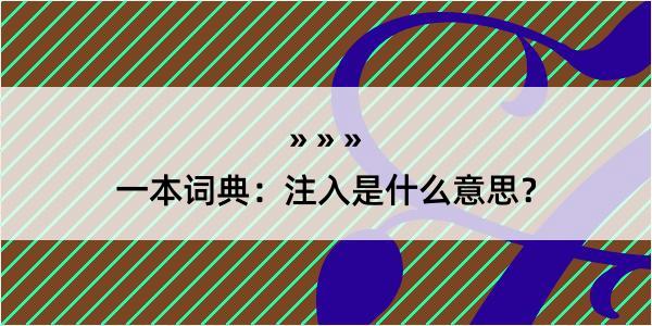 一本词典：注入是什么意思？