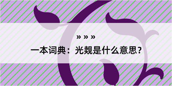 一本词典：光觌是什么意思？