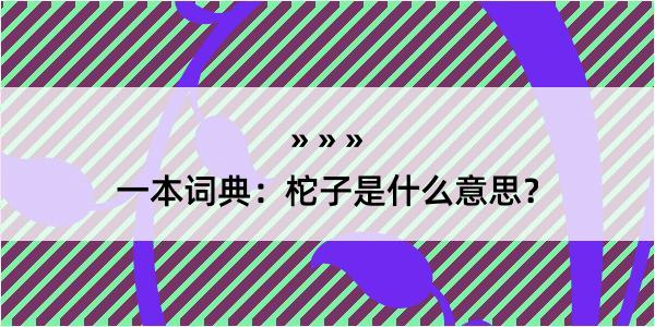 一本词典：柁子是什么意思？