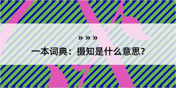 一本词典：摄知是什么意思？