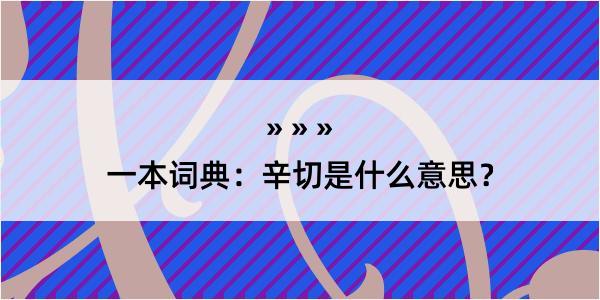 一本词典：辛切是什么意思？