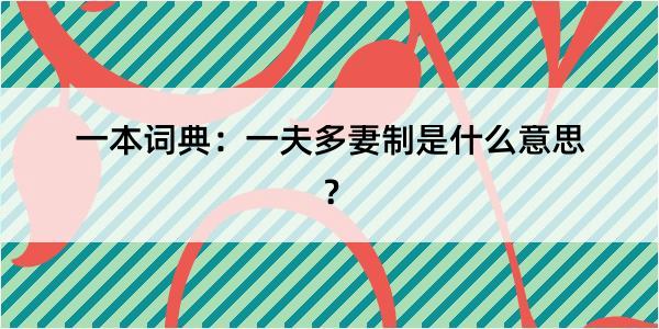 一本词典：一夫多妻制是什么意思？