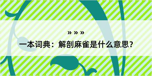 一本词典：解剖麻雀是什么意思？