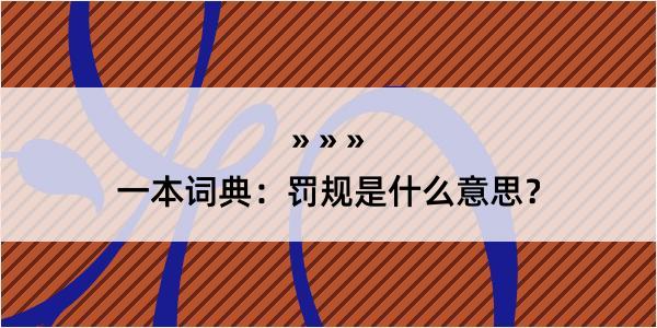 一本词典：罚规是什么意思？