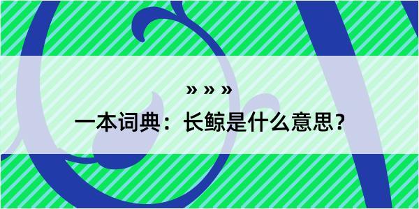 一本词典：长鲸是什么意思？