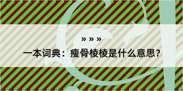 一本词典：瘦骨棱棱是什么意思？