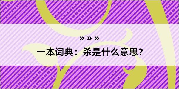 一本词典：杀是什么意思？