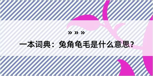 一本词典：兔角龟毛是什么意思？