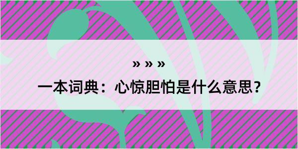 一本词典：心惊胆怕是什么意思？