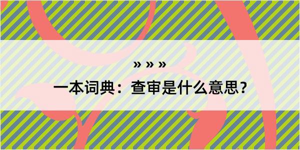 一本词典：查审是什么意思？