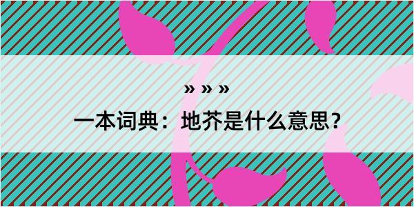 一本词典：地芥是什么意思？