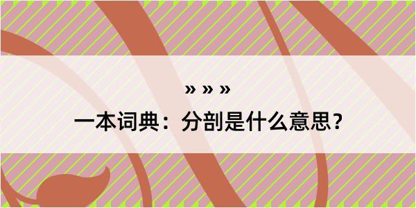 一本词典：分剖是什么意思？