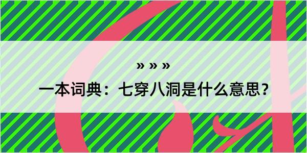 一本词典：七穿八洞是什么意思？