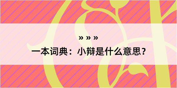 一本词典：小辩是什么意思？