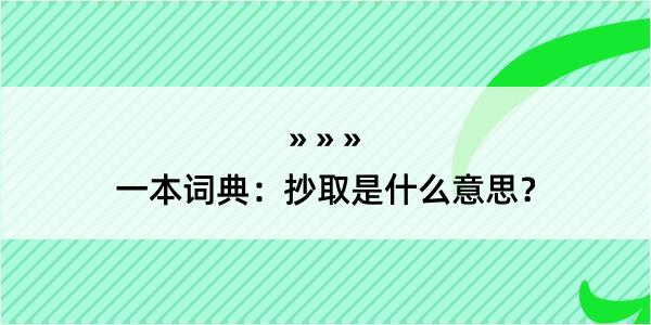 一本词典：抄取是什么意思？