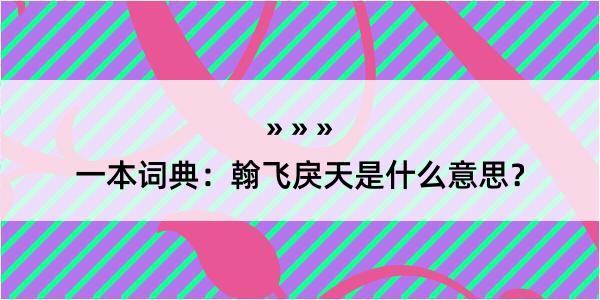 一本词典：翰飞戾天是什么意思？