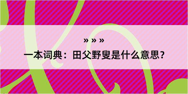 一本词典：田父野叟是什么意思？