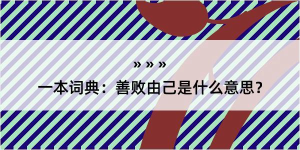 一本词典：善败由己是什么意思？