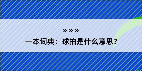 一本词典：球拍是什么意思？