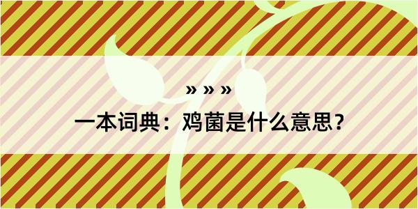 一本词典：鸡菌是什么意思？