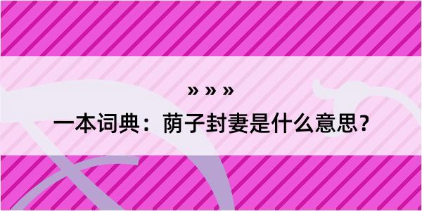 一本词典：荫子封妻是什么意思？