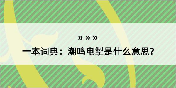 一本词典：潮鸣电掣是什么意思？