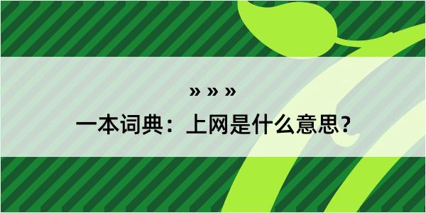 一本词典：上网是什么意思？