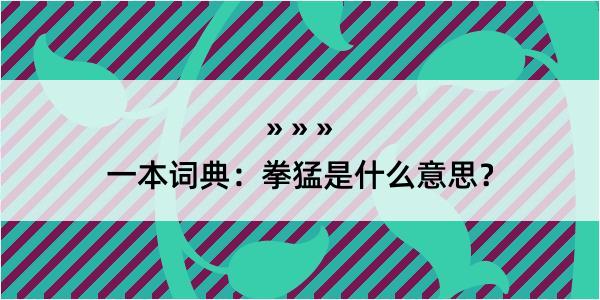 一本词典：拳猛是什么意思？