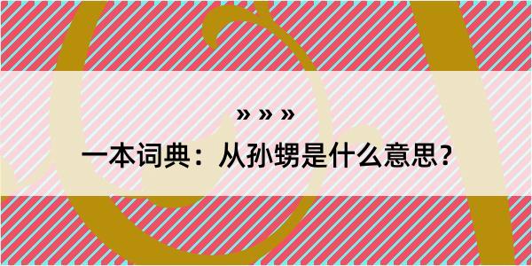 一本词典：从孙甥是什么意思？