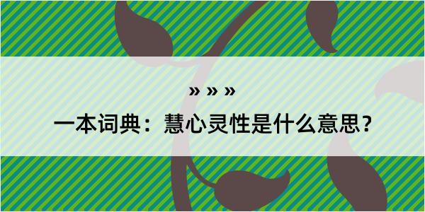 一本词典：慧心灵性是什么意思？