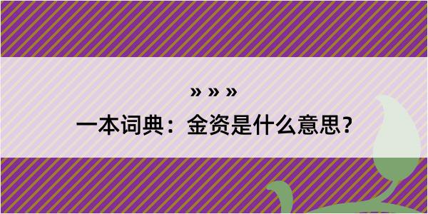 一本词典：金资是什么意思？