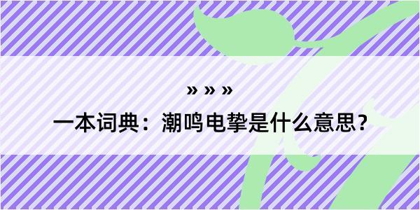 一本词典：潮鸣电挚是什么意思？