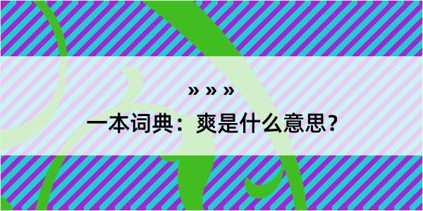 一本词典：爽是什么意思？