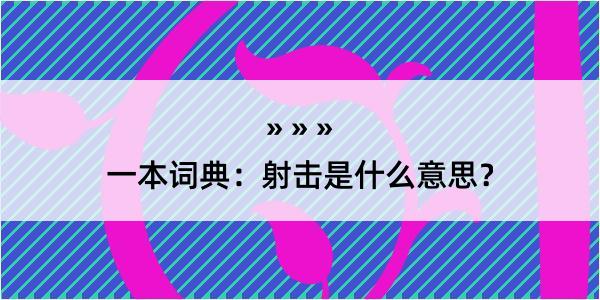 一本词典：射击是什么意思？