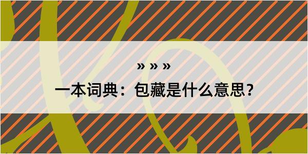 一本词典：包藏是什么意思？