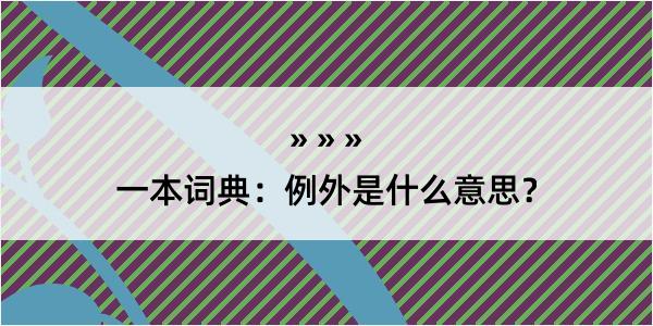 一本词典：例外是什么意思？