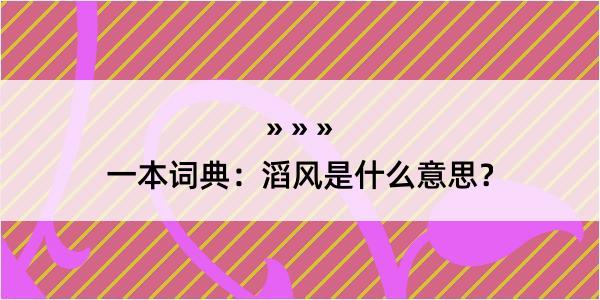 一本词典：滔风是什么意思？