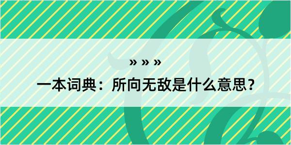 一本词典：所向无敌是什么意思？