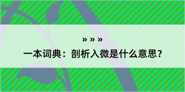 一本词典：剖析入微是什么意思？