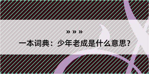 一本词典：少年老成是什么意思？