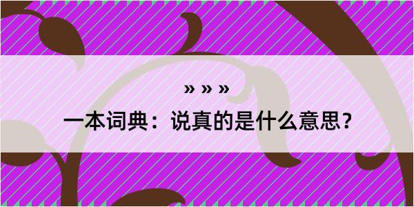 一本词典：说真的是什么意思？