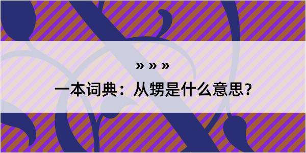 一本词典：从甥是什么意思？