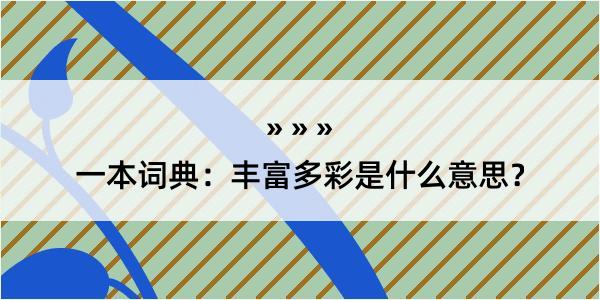 一本词典：丰富多彩是什么意思？