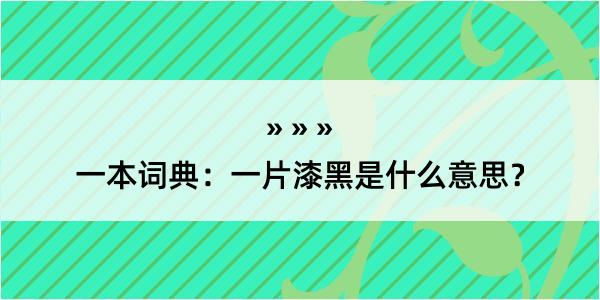 一本词典：一片漆黑是什么意思？