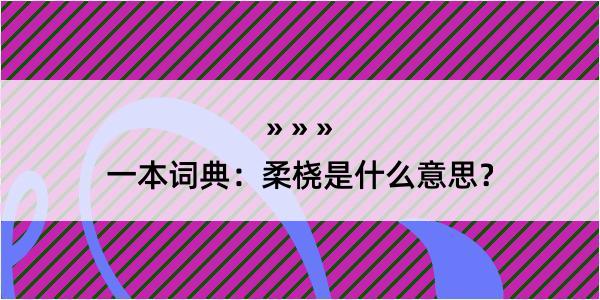 一本词典：柔桡是什么意思？