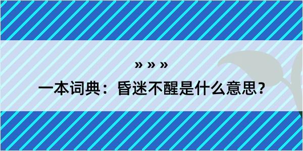 一本词典：昏迷不醒是什么意思？