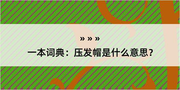 一本词典：压发帽是什么意思？