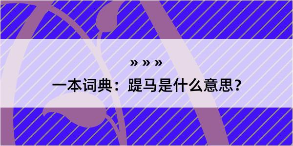 一本词典：踶马是什么意思？