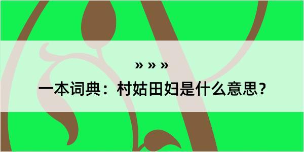 一本词典：村姑田妇是什么意思？